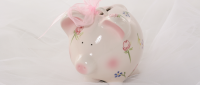 Insurance Piggy Bank