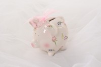 Conception Kit Piggybank